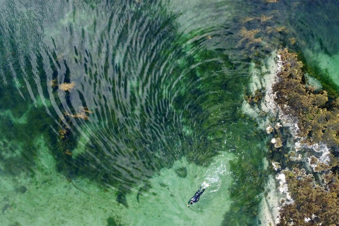 Still from ‘The Ocean Floor is a Green World’, Jules Charlton & Ronan Concannon